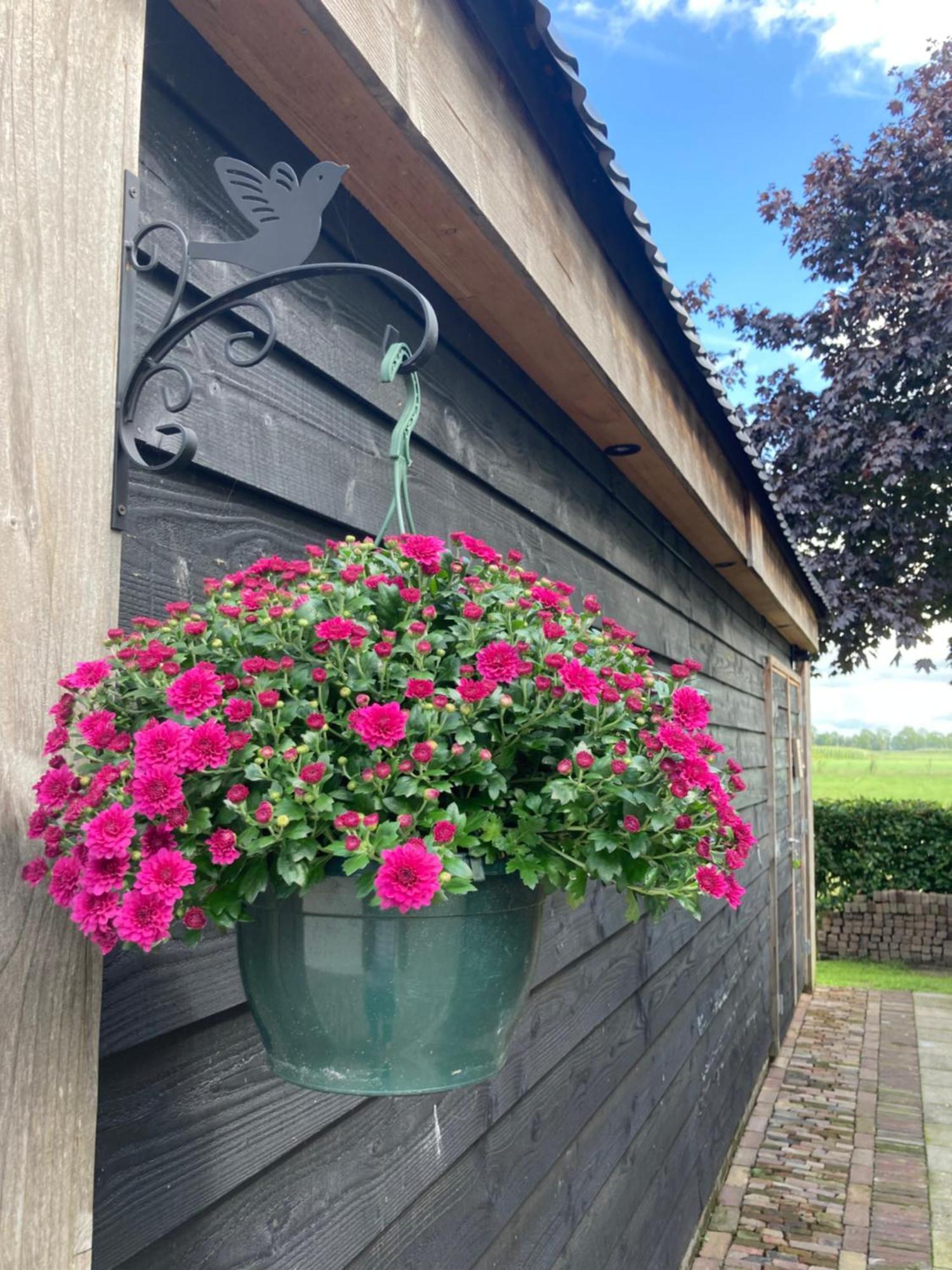 Villa De Barg Vinkenbuurt Exterior foto